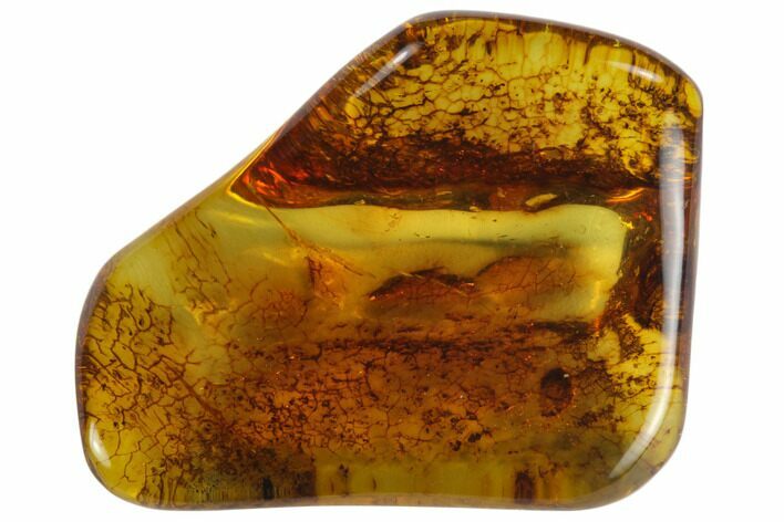 Polished Chiapas Amber ( g) - Mexico #114809